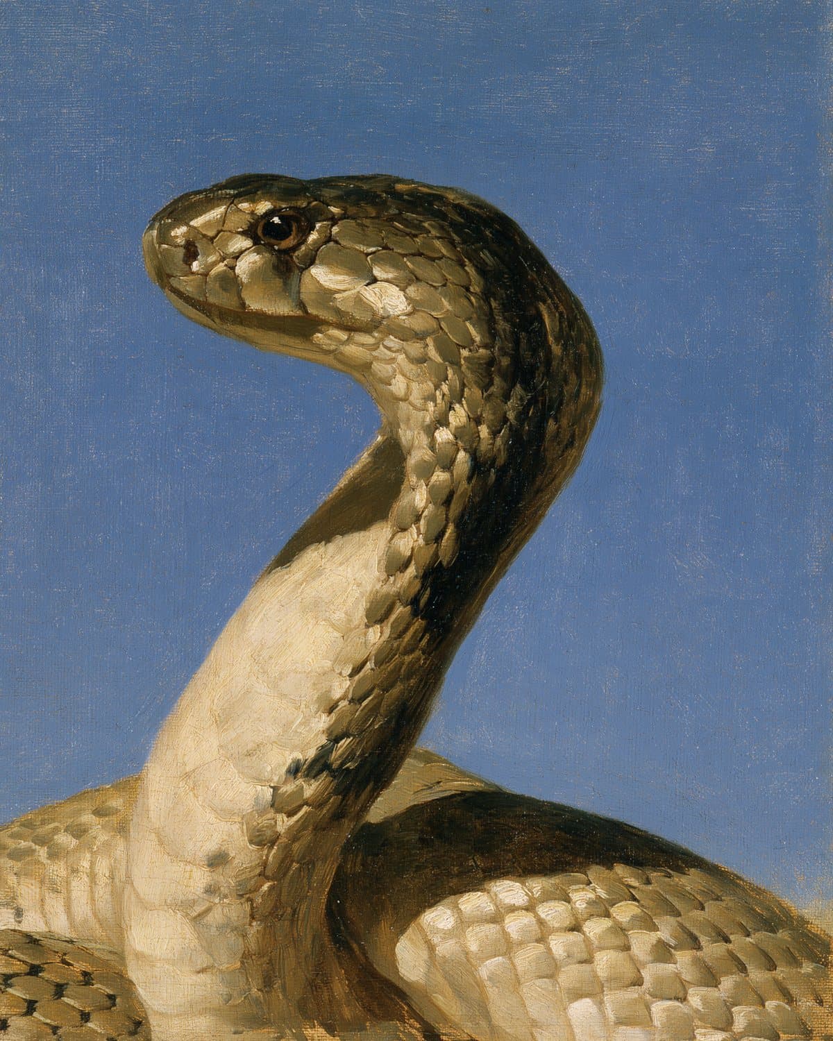 A serpent: a painted portrait for the tribe of Dan