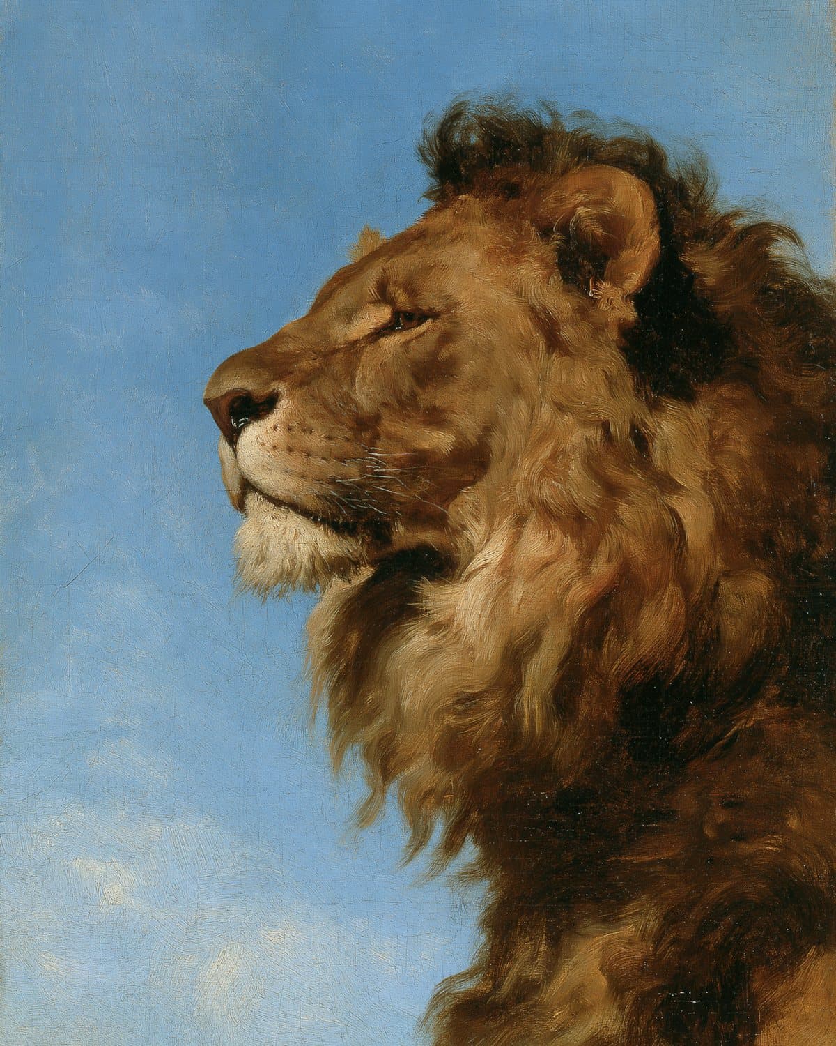 A lion: a painted portrait for the tribe of Judah