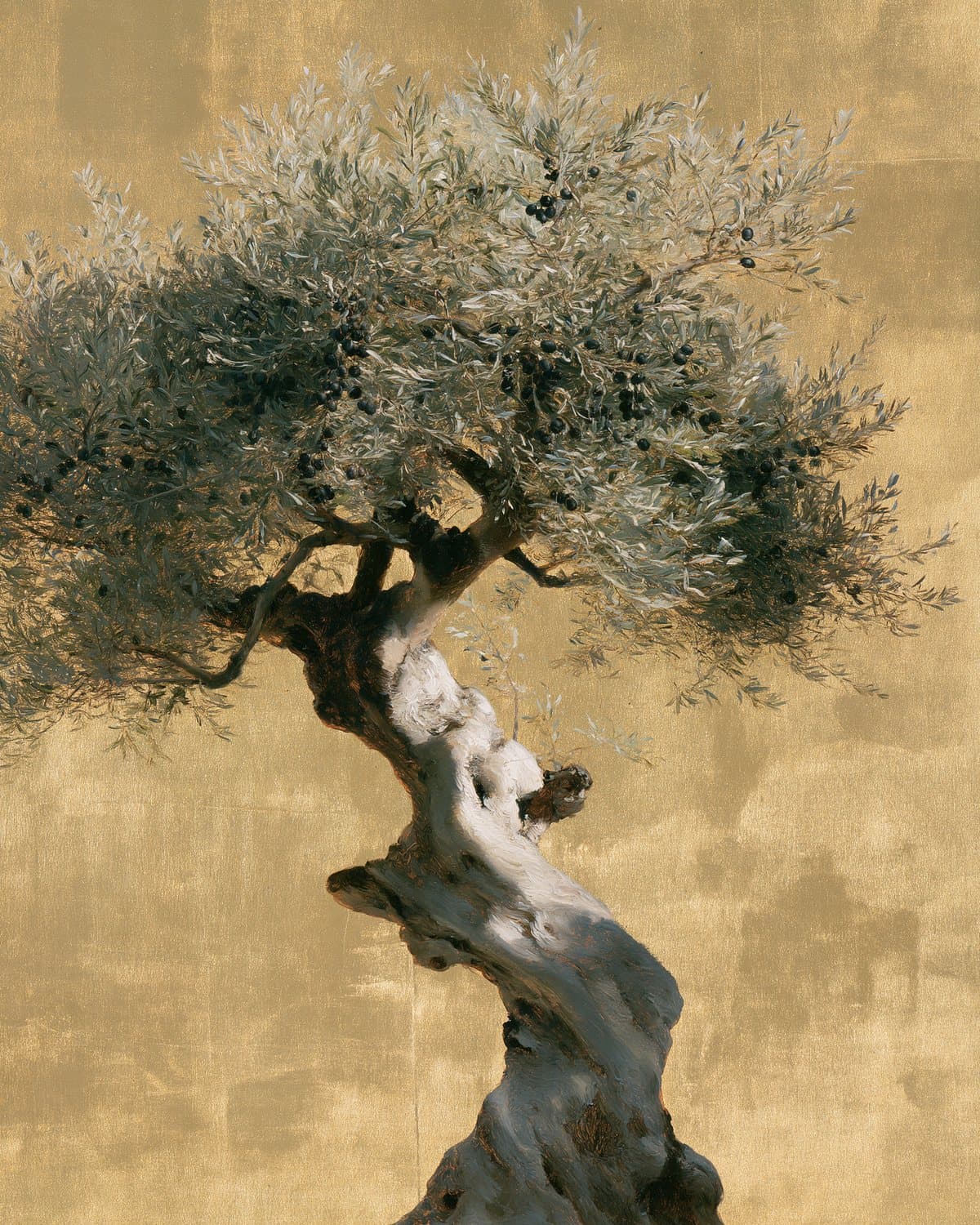 An olive tree: a painted portrait for the tribe of Asher